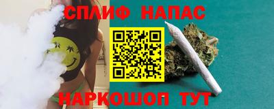 гашик Бузулук