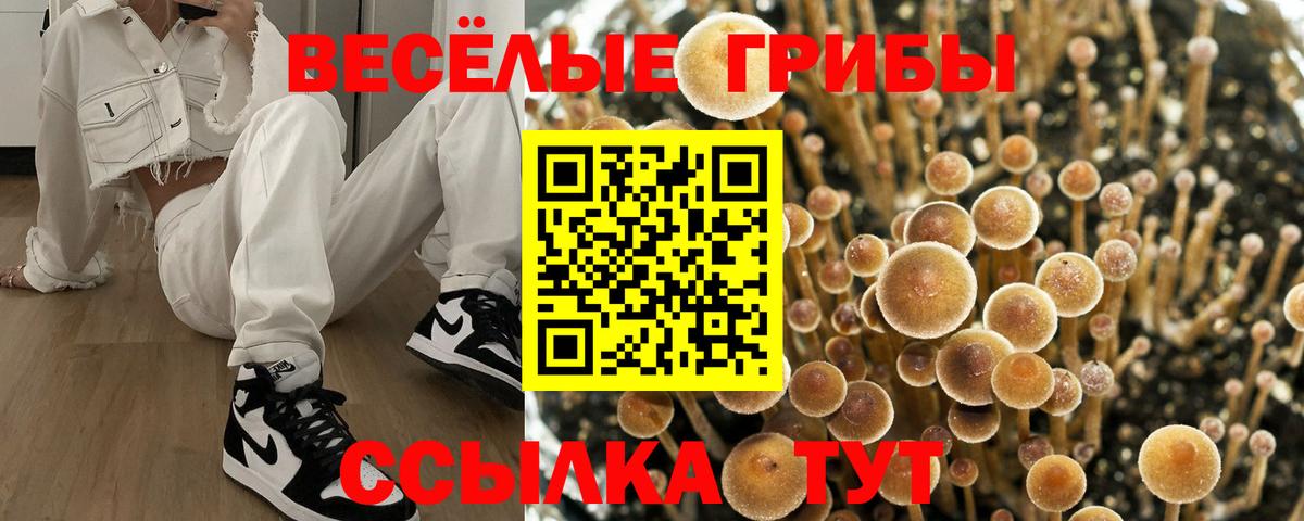 Петрозаводск  купить  цена  Вход с VPN  Галлюциногенные грибы мицелий 