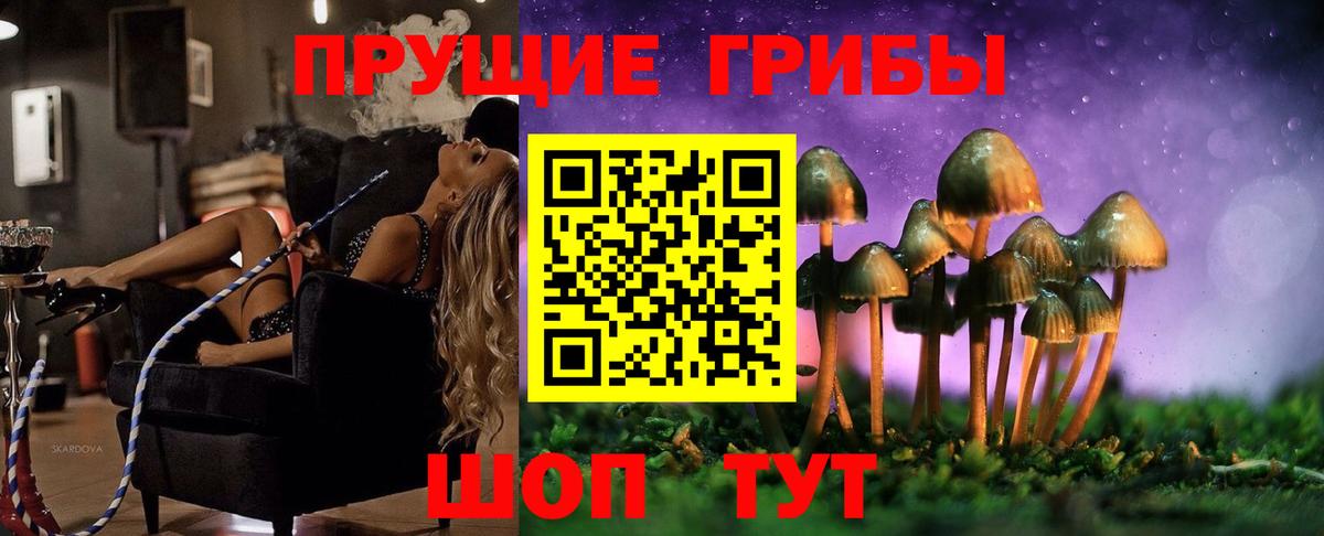 Псилоцибиновые грибы прущие грибы Петрозаводск